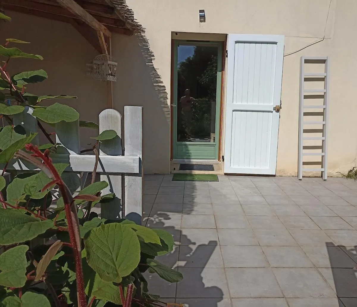 Lejlighed Cozy Independent Studio Roussillon  Frankrig